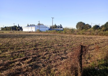 CAMPO EN PEREZ